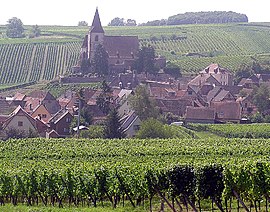 View of Hunawihr, with the fortified Saint-Jacques-le-Majeur Church and vineyards