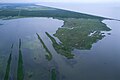 Image 45Aerial view of Louisiana's wetland habitats (from Louisiana)