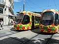 Die Triebwagen der Straßenbahnlinie 2 in Montpellier tragen ein Blumendesign