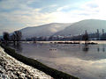 Überflutete Neckarwiese 2003