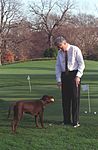 Bill Clinton and his dog Buddy in 1998