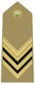 Sergente Maggiore (Italian Army)[26]