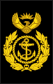 South African Navy[15]