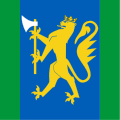 Standard of the Oslofjord Home Guard District 01
