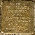 Stolperstein für Lisamaria Meirowsky (Fürst-Pückler-Str. 42)