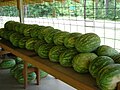 Watermelon stand in Sugartown
