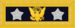 An insignia with a navy blue background and a silver star, a gold eagle, and another silver star