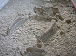 Altsteinzeitliches Paläo-Relief in Isernia la Pineta und Notarchirico