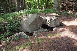 Das Großsteingrab Dummertevitz 1
