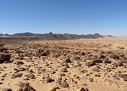 Landscape of the stony desert known as Reg de l'Adrar