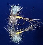 Blue-winged Olive Quill (BWO)