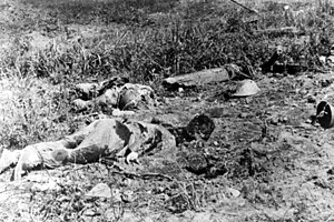 Several lifeless bodies lying in a field: To the left in the middle ground, a soldier lies face down in the soil, while another lies face up with arms outstretched among the grass behind him. Broken vegetation is strewn around the position, while to the right, two helmets lie on the ground.