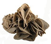 Desert rose. Cluster of sharp, bladed selenite crystals