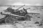 Italian guns captured in North Africa by the British.