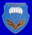 Internes Verbandsabzeichen der Luftlandeversorgungskompanie 250