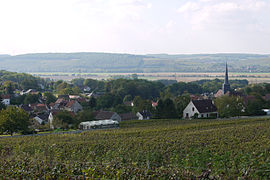 A general view of Nesles-la-Montagne