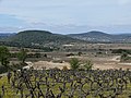 Hills of Herault, Spring time