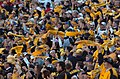 Image 36Pittsburgh Steelers' fans waving the Terrible Towel, a tradition that dates back to 1975 (from Pennsylvania)