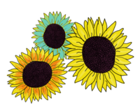 drei gezeichnete Sonnenblumen