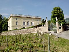 Villa Rizzardi and Amarone vineyards