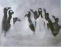 A Last Stand – painting of Great Auks by Errol Fuller