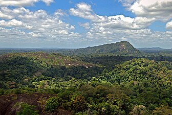 An inselberg in the rainforest of Suriname