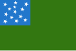 A green flag with a blue canton. The canton has 13 stars scattered in it.
