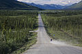 Dalton Highway südlich der kontinentalen Wasserscheide: Auf Permafrost wachsen die Bäume nicht immer gerade (englisch drunken forests)