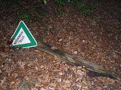 Hinweisschild mit verrottetem Pfahl im Jägersburger Moor (Saarland)