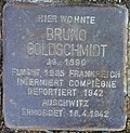 Bruno Goldschmidt