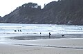 Beach goers and surfers at Short Sands
