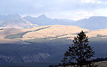 Specimen Ridge from Mount Washburn, 1977