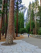 The highest waterfall in Yosemite National Park