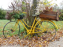 Autry-Issards decorated bicycle