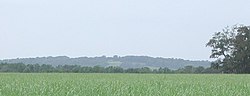 Avery Island as seen from a distance across a sugarcane field