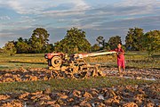 Boy plowing with a tractor at sunset in Don Det