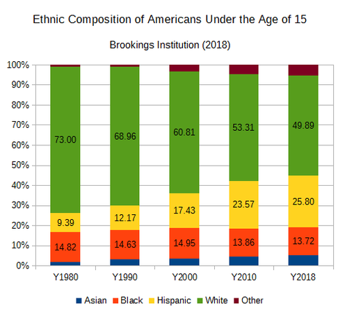Ethnic minorities under the age of 15 have seen significant growth since the 2000s.