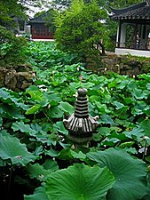 The lotus pond in Humble Administrator's Garden