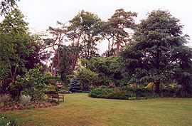 The arboretum in Ingrannes