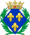 Coat of arms of a princess of France