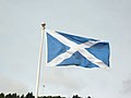 The flag of Scotland (2:3 proportion)