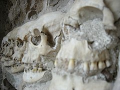 Detail of a row of skulls