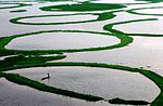 Im aus der Vogelperspektive betrachteten See befinden sich ringförmige, mit Gras bewachsene Inseln. Im vordersten Ring ist ein kleines Boot in dem ein Fischer gerade ein Netz ins Wasser geworfen hat.