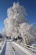 Winter at Bøn in Eidsvoll