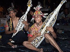 Sapeh, traditional lutes of the Orang Ulu people of Malaysia