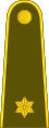 Leitenantas (Lithuanian Land Forces)[51]