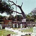 Graves and the Hangman's Tree