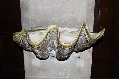 Seashell benetier donated by Victor Hugo