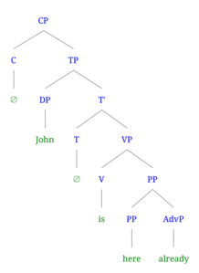 Syntax tree of (1a) John is here already (affirmative)