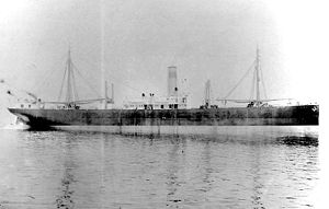 SS Ohioan as she appeared before her U.S. Navy service in World War I